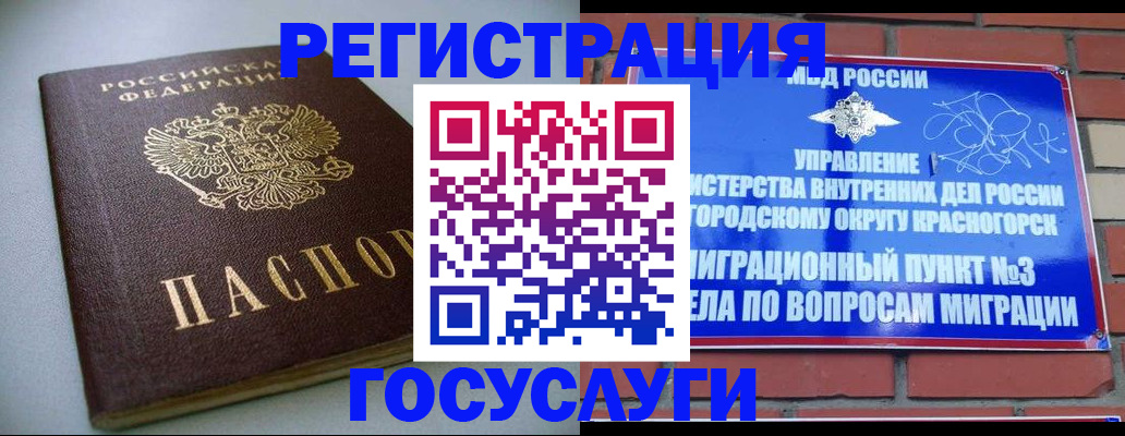 временная прописка в Борзе